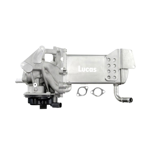 Lucas LECV017