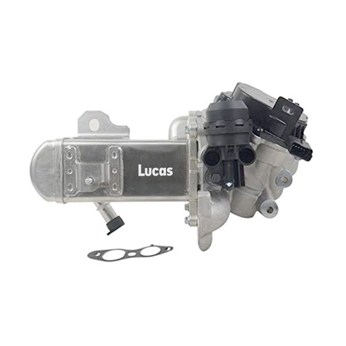 Lucas LECV068