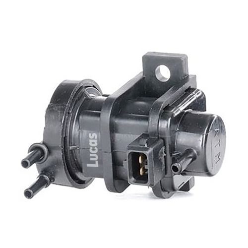 Lucas  LECV093