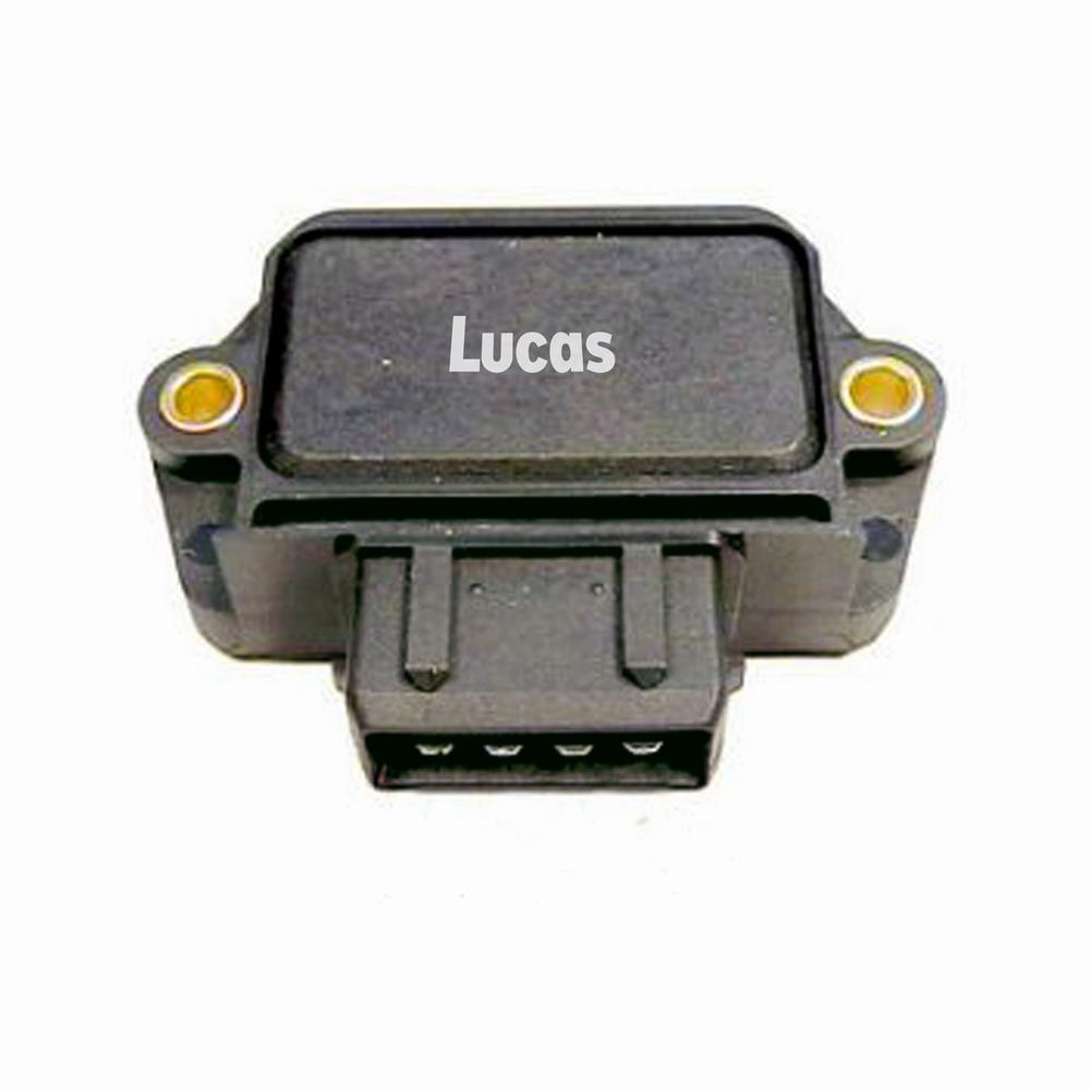Lucas  LEESI044