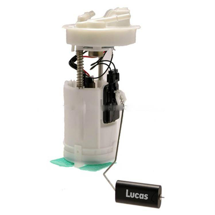 Lucas  LEFSL011
