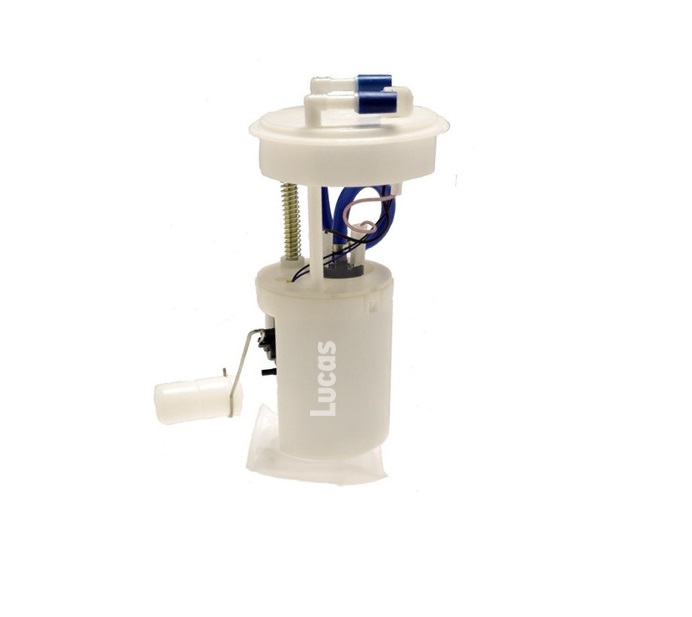 Lucas  LEFSL024