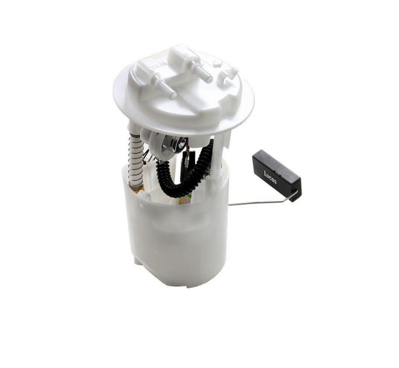 Lucas  LEFSL050