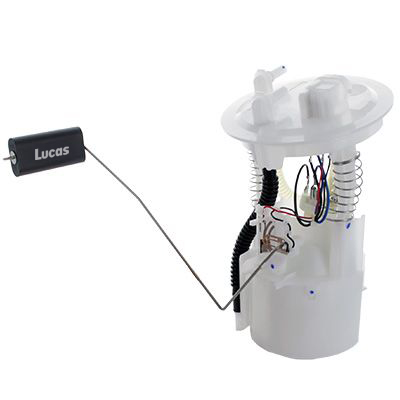 Lucas  LEFSL068