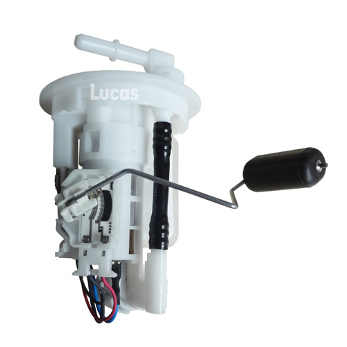 Lucas  LEFSL074