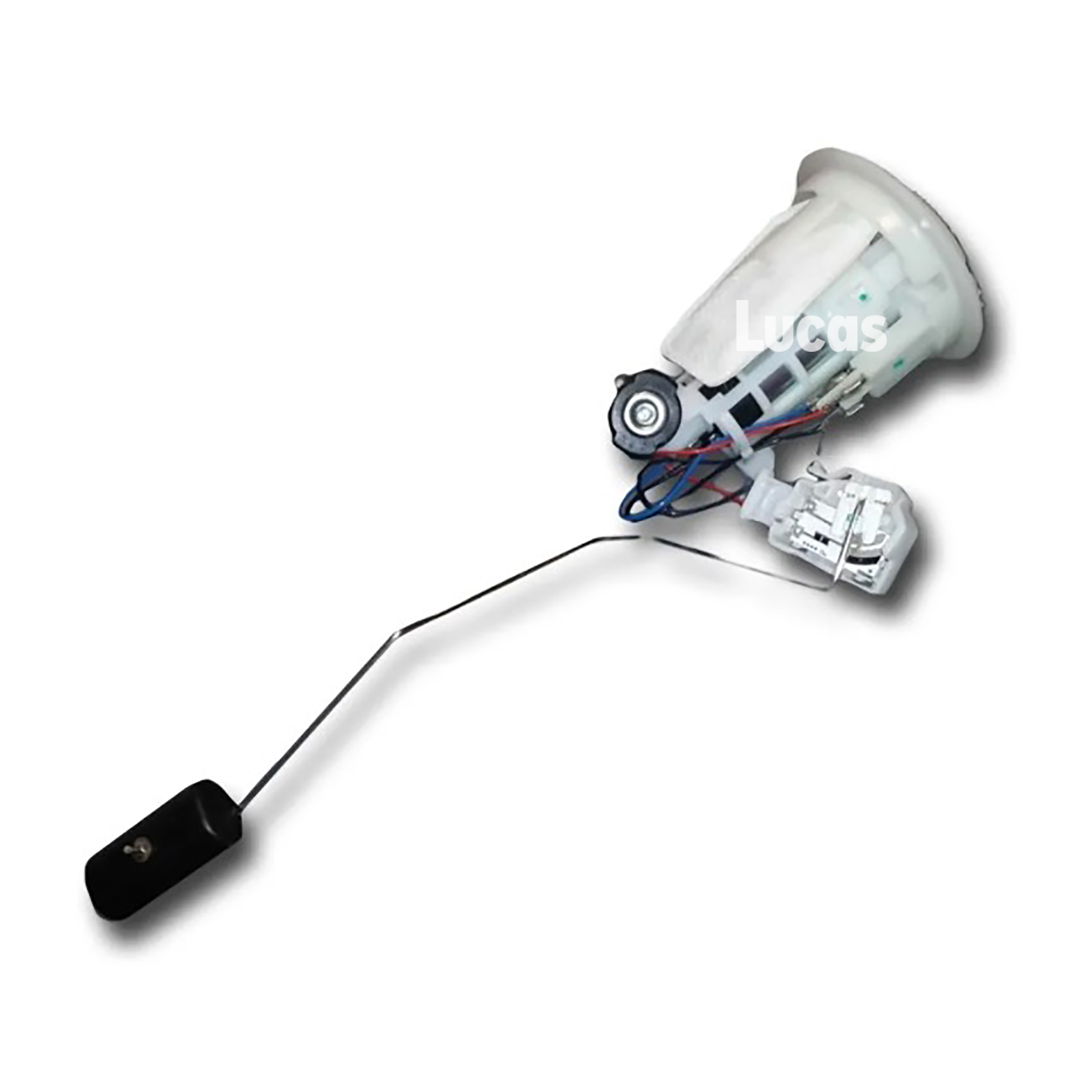 Lucas  LEFSL075
