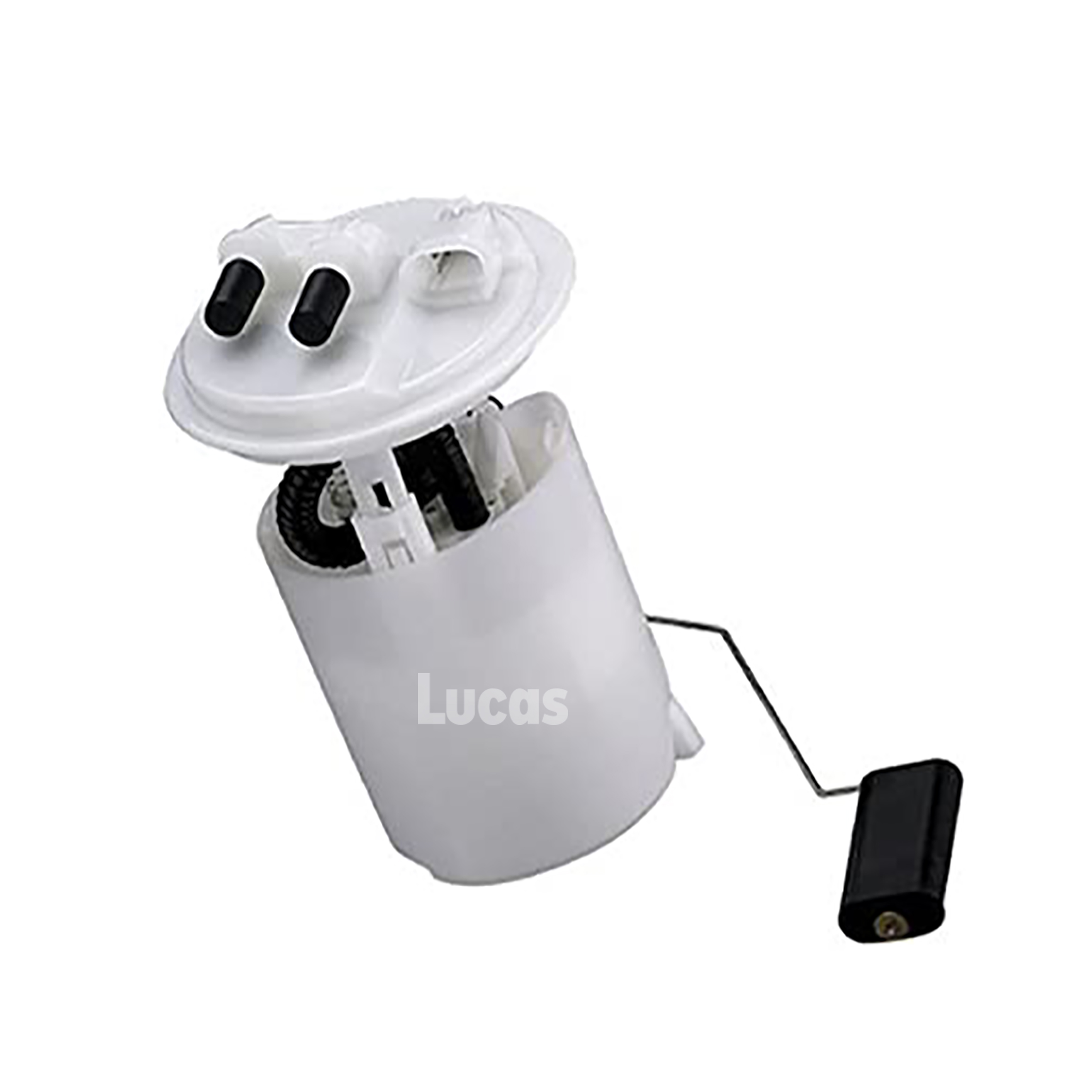 Lucas  LEFSL076