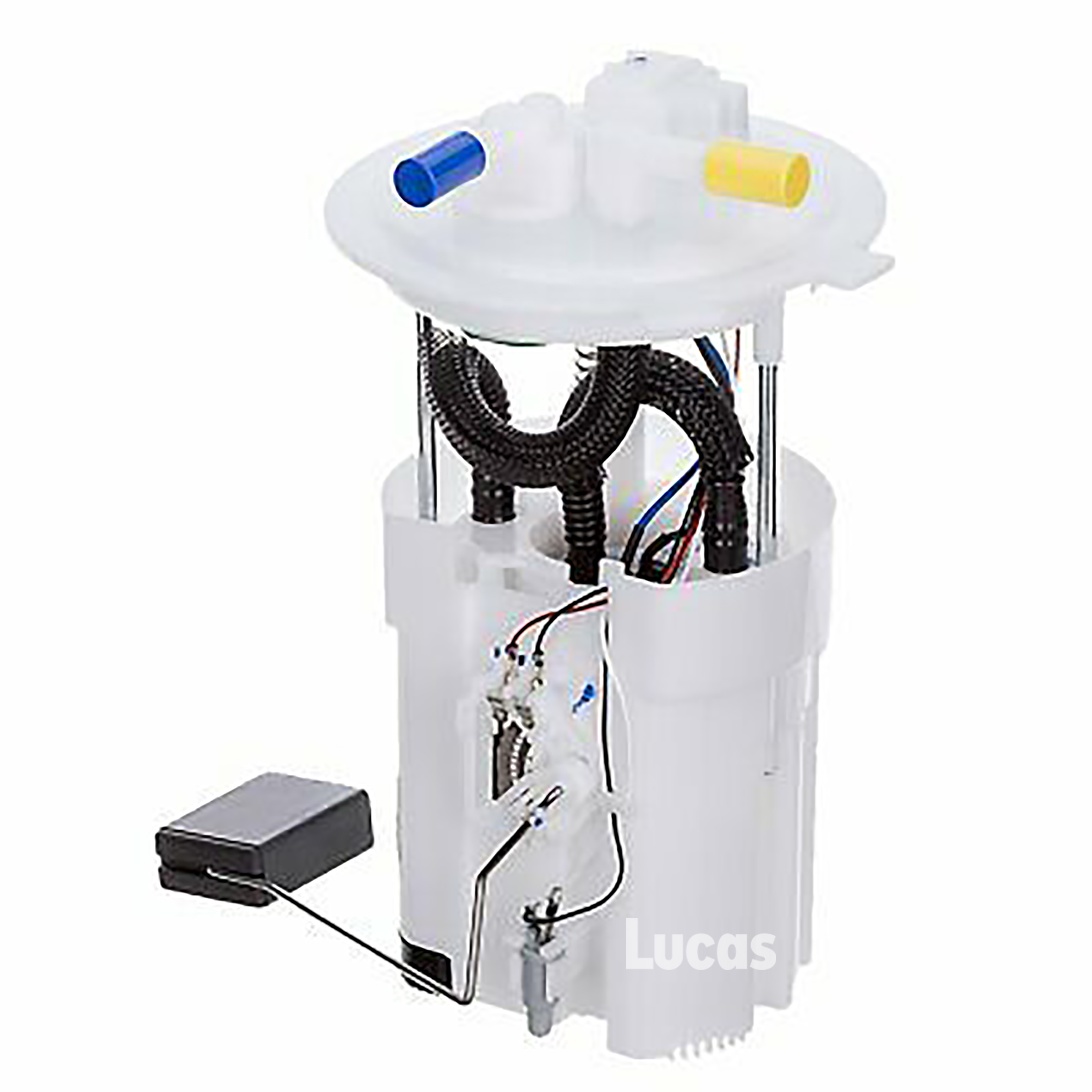 Lucas  LEFSL079