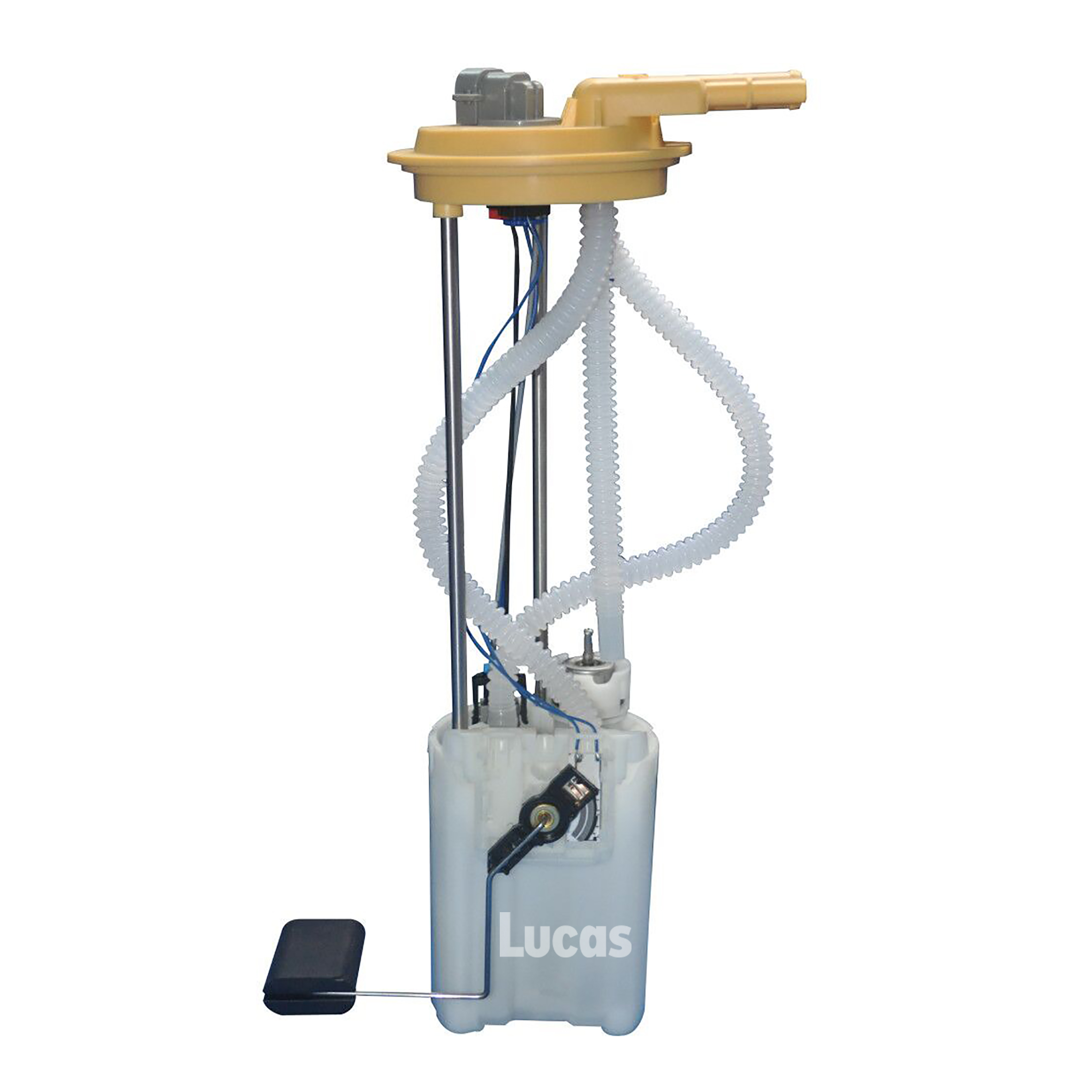 Lucas  LEFSL080
