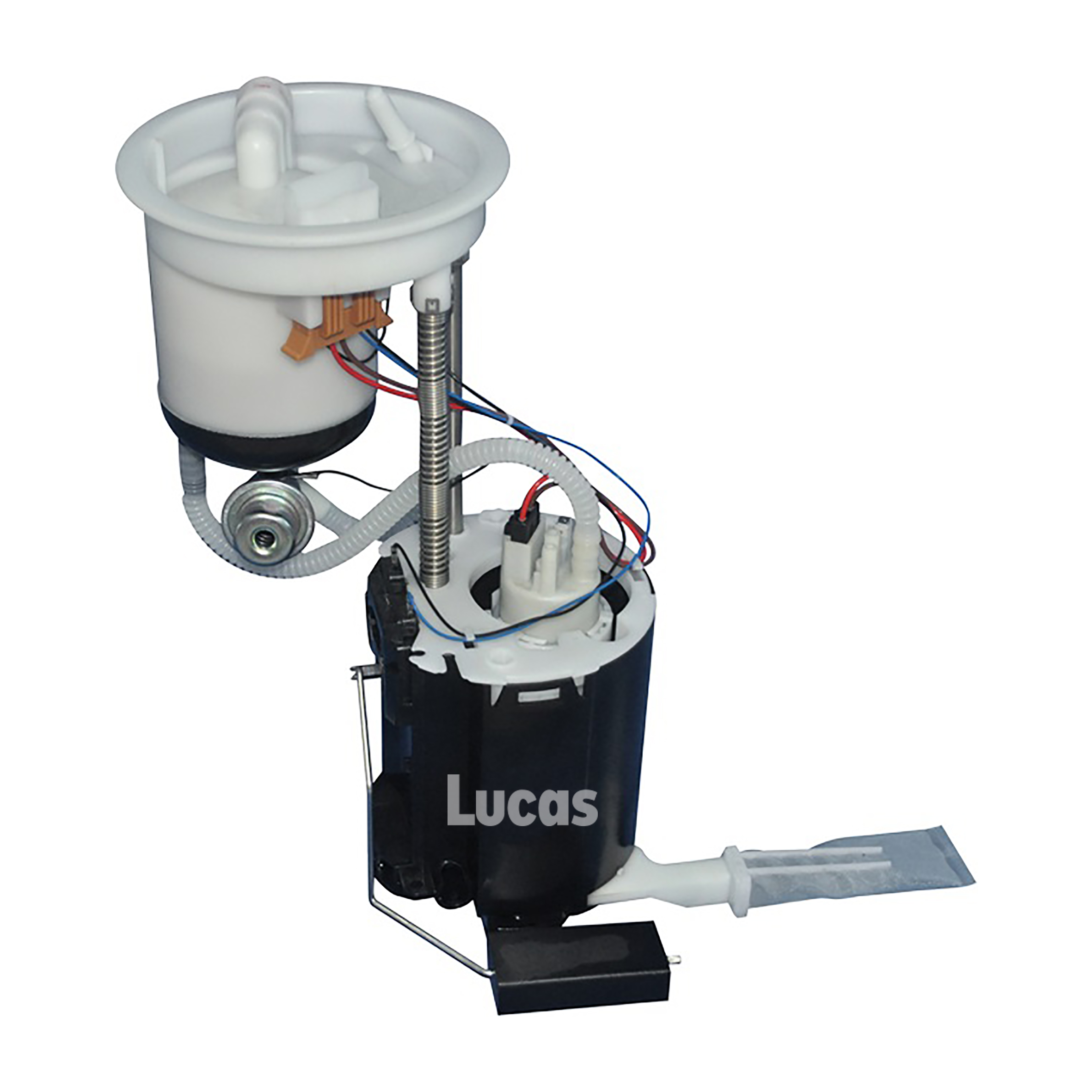Lucas  LEFSL081