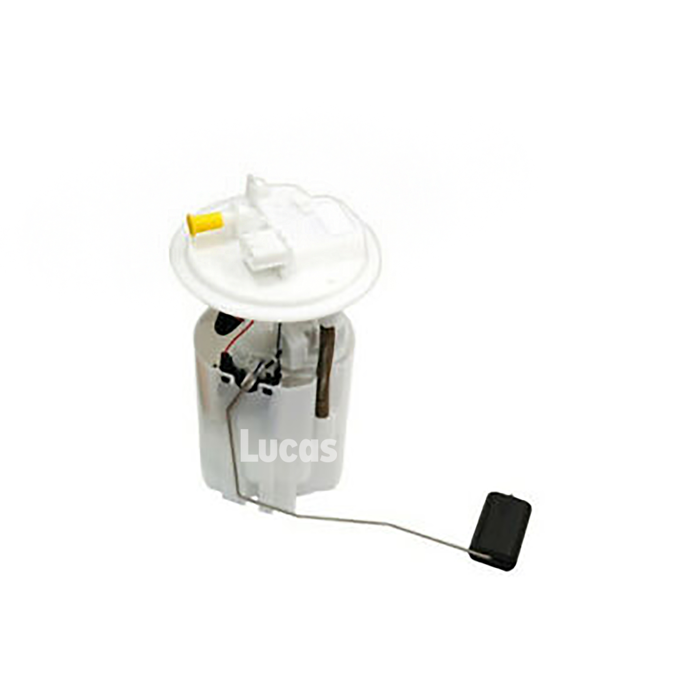 Lucas  LEFSL083