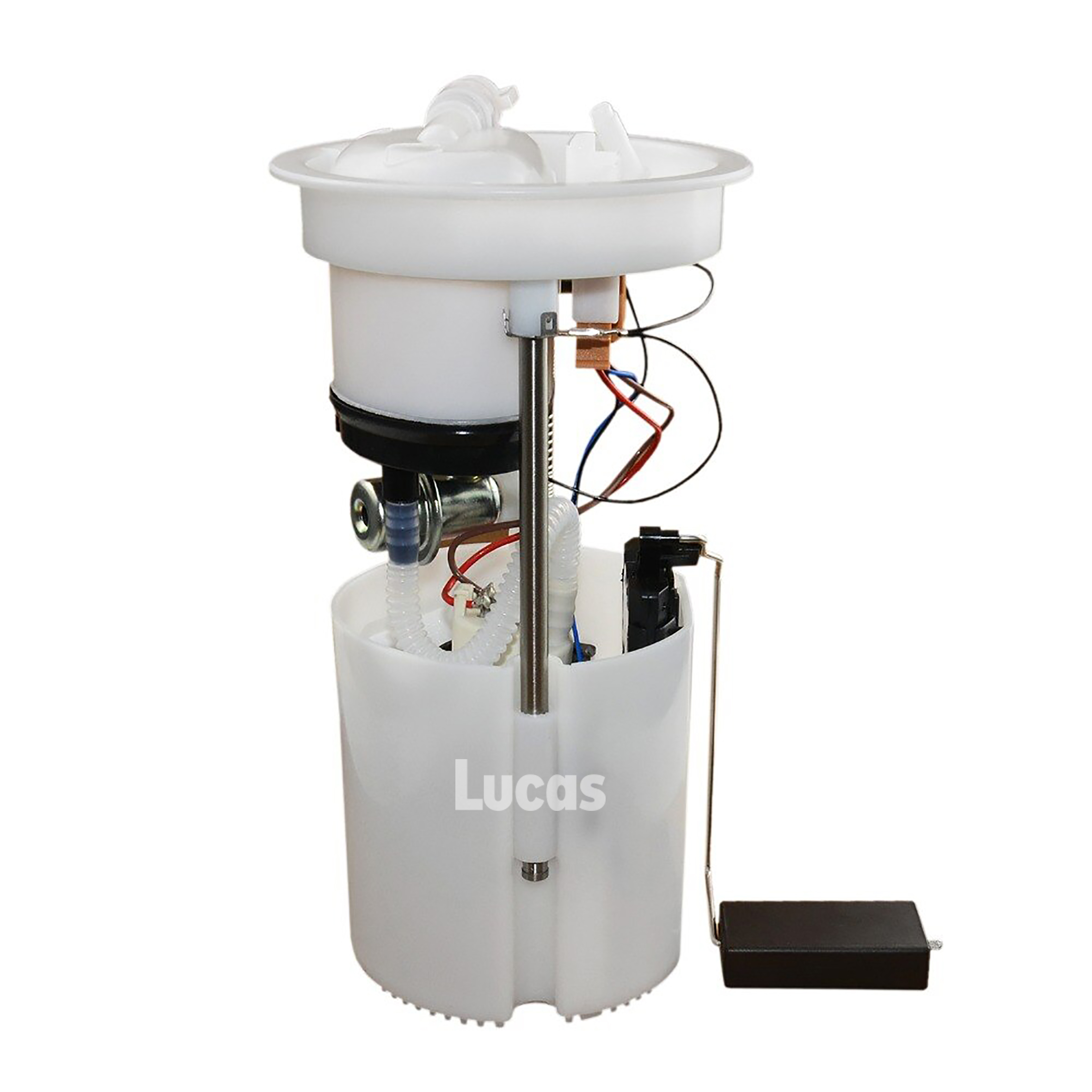 Lucas  LEFSL084