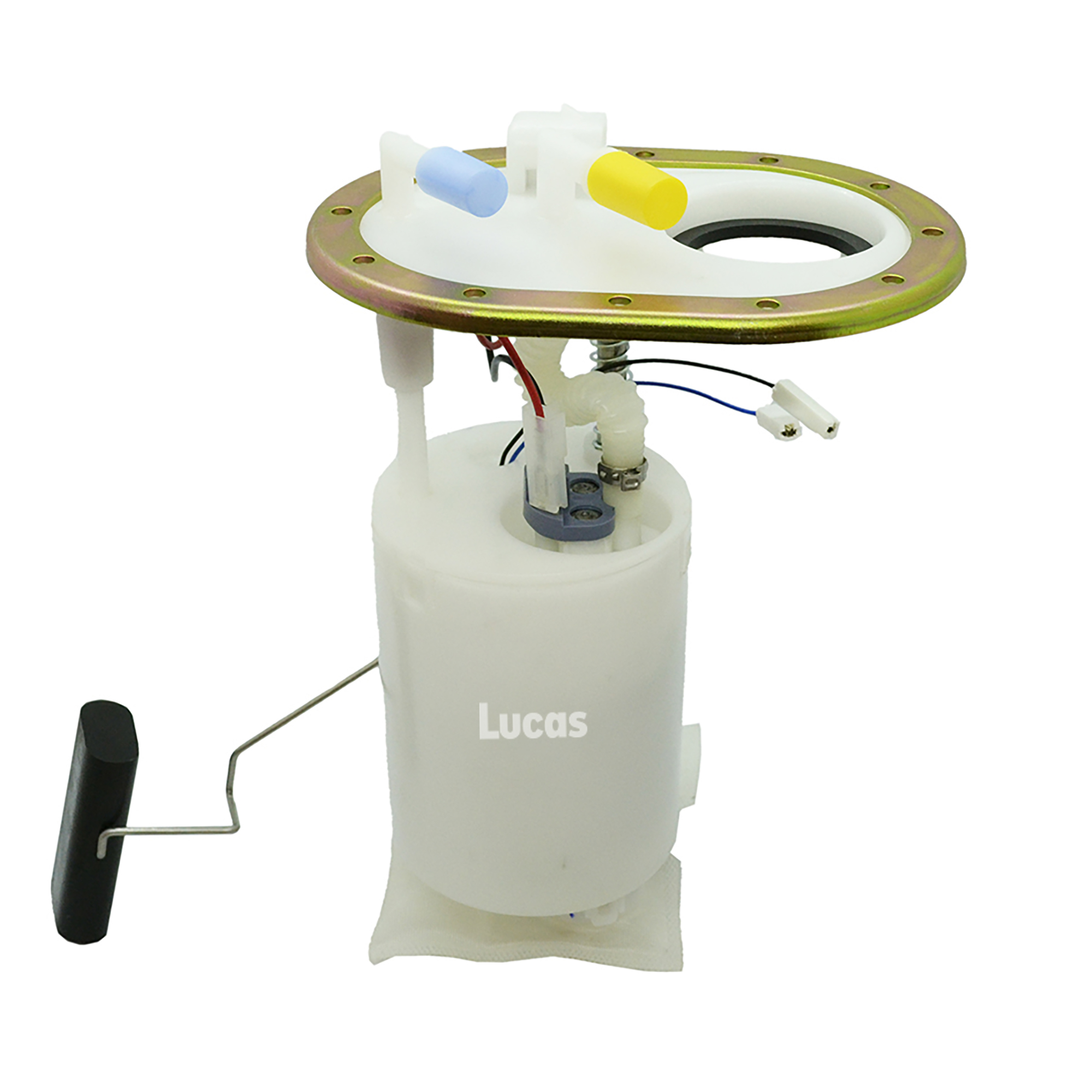 Lucas  LEFSL091