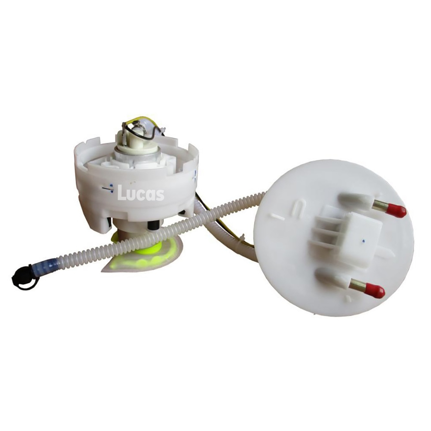 Lucas  LEFSL120
