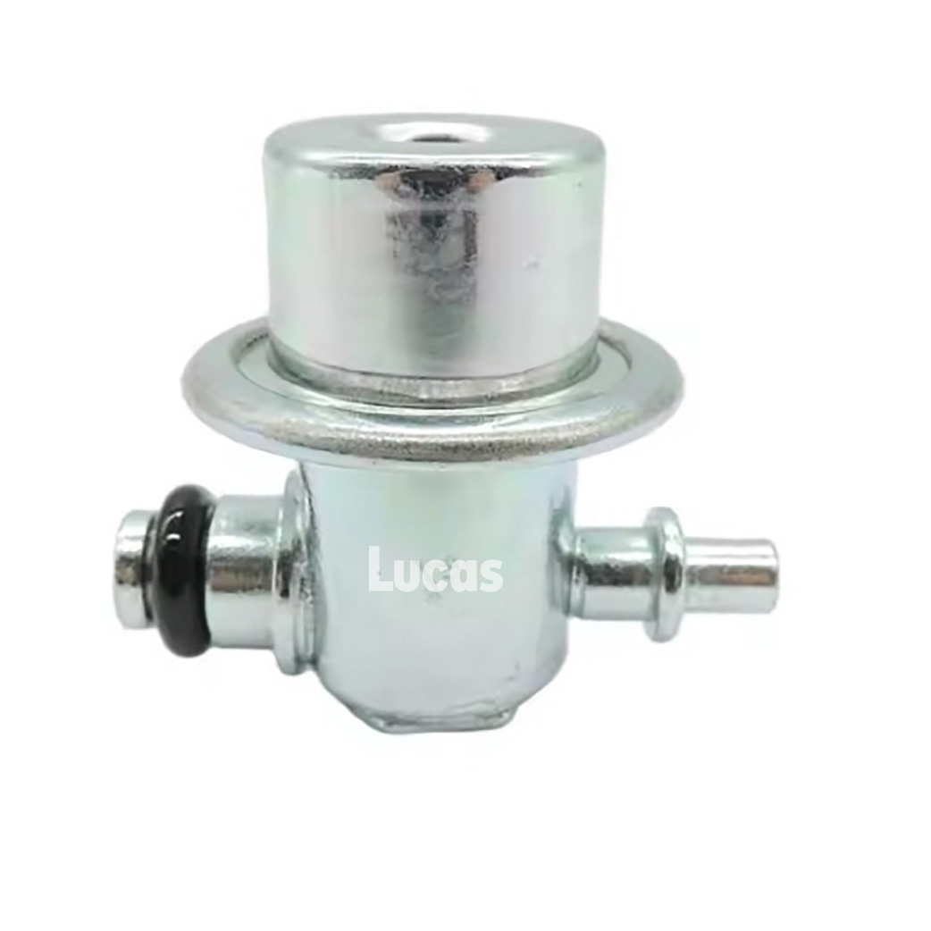 Lucas LEICP049