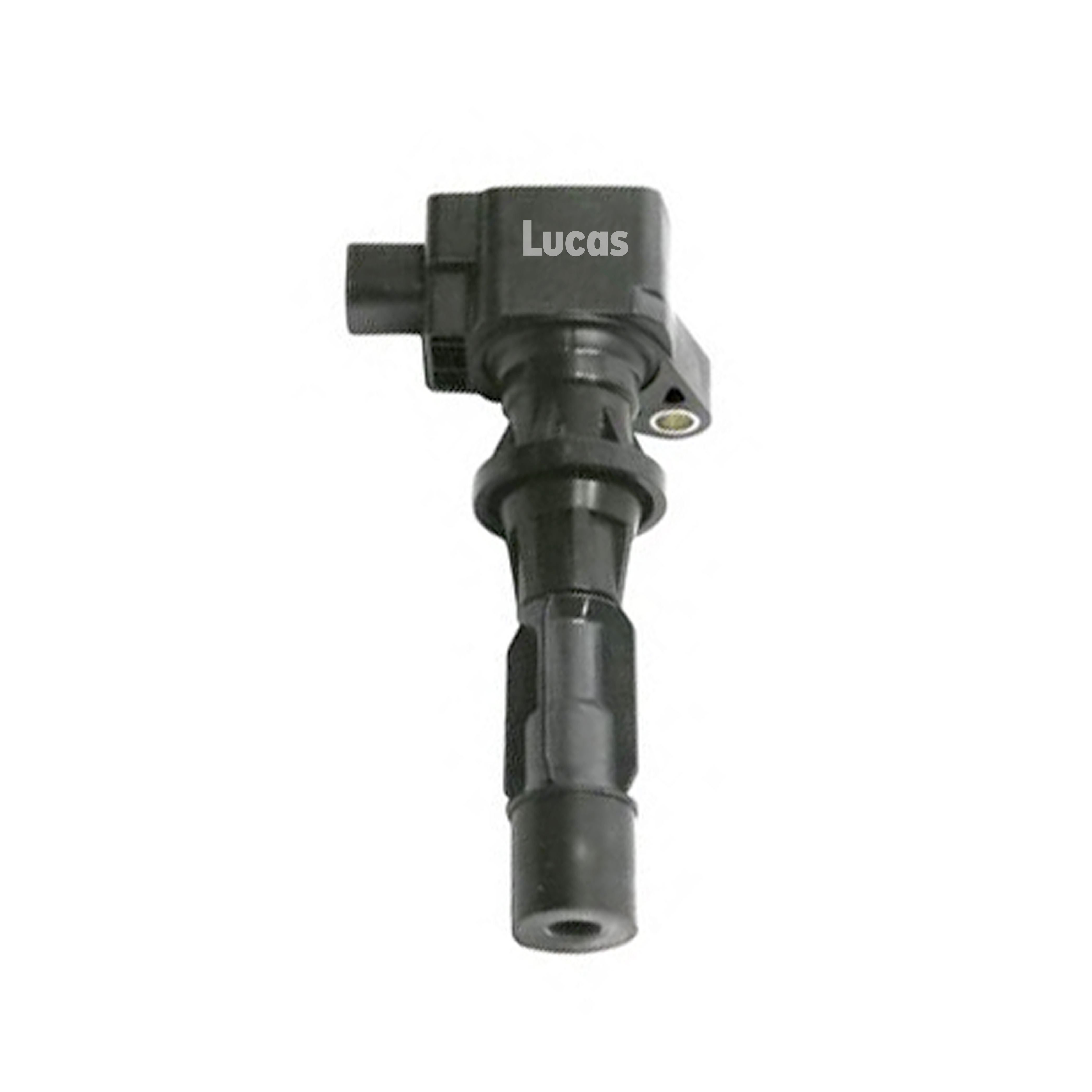 Lucas LEIG136