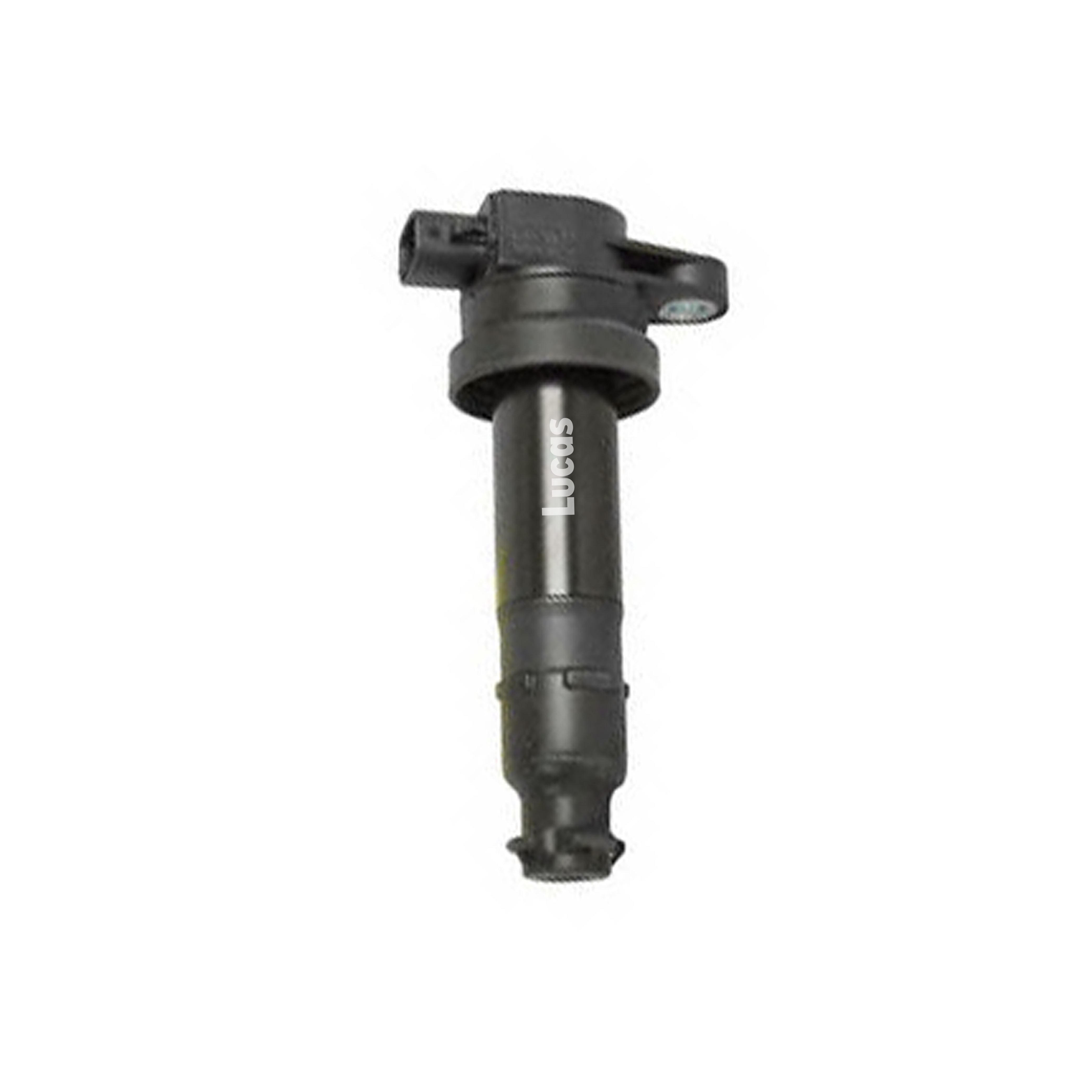 Lucas LEIG216