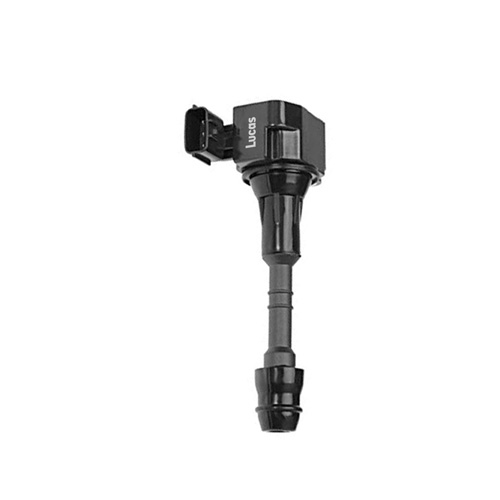 Lucas LEIG221