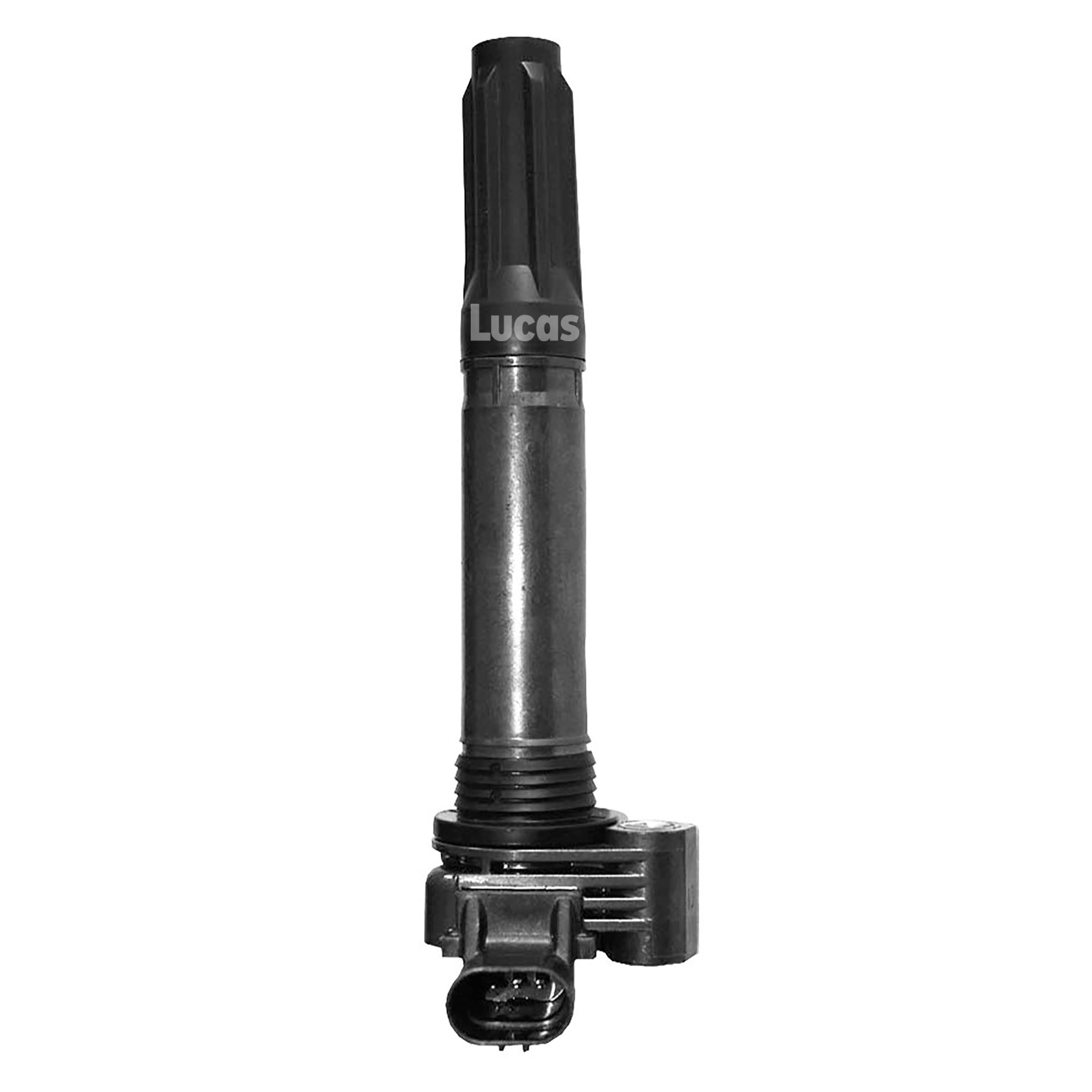 Lucas LEIG228