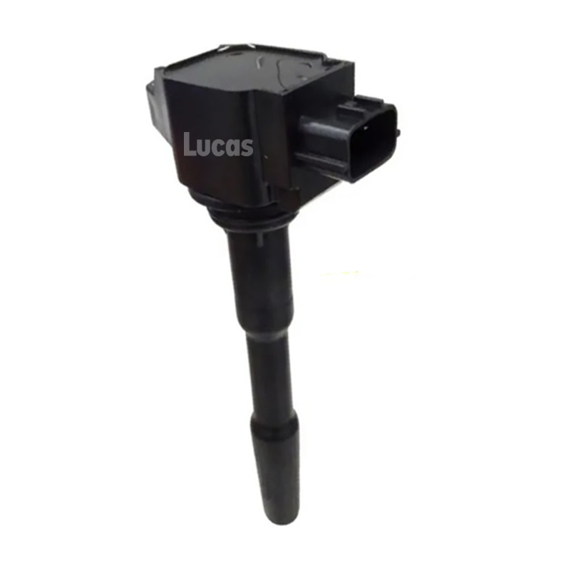 Lucas LEIG230