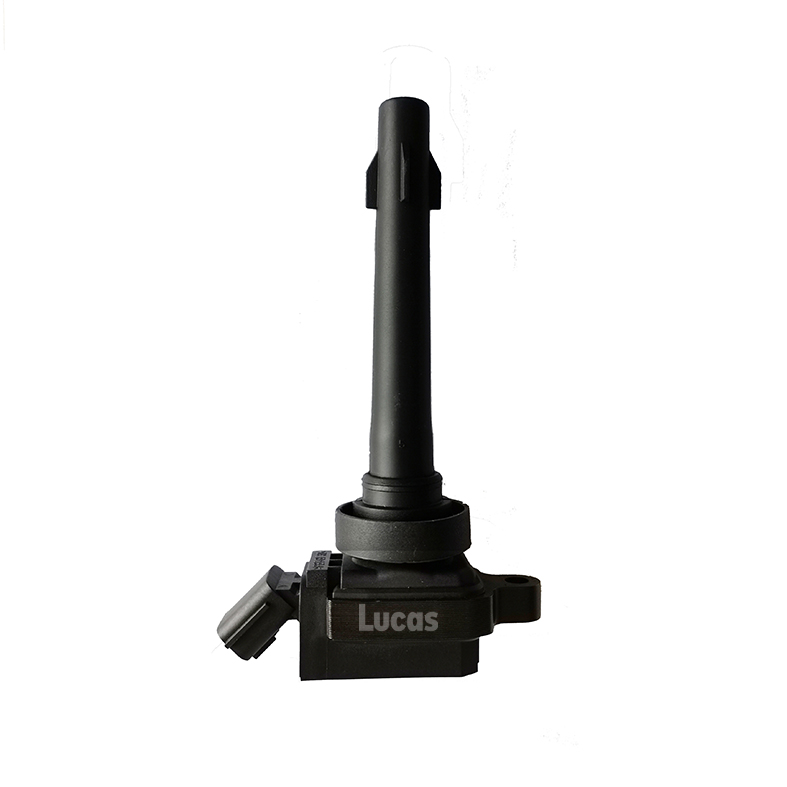 Lucas LEIG231