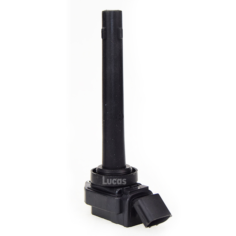 Lucas LEIG233