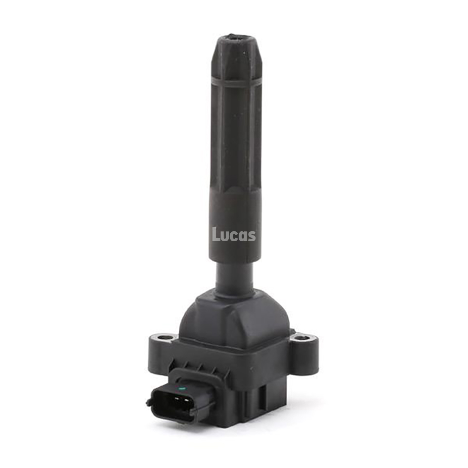 Lucas LEIG238