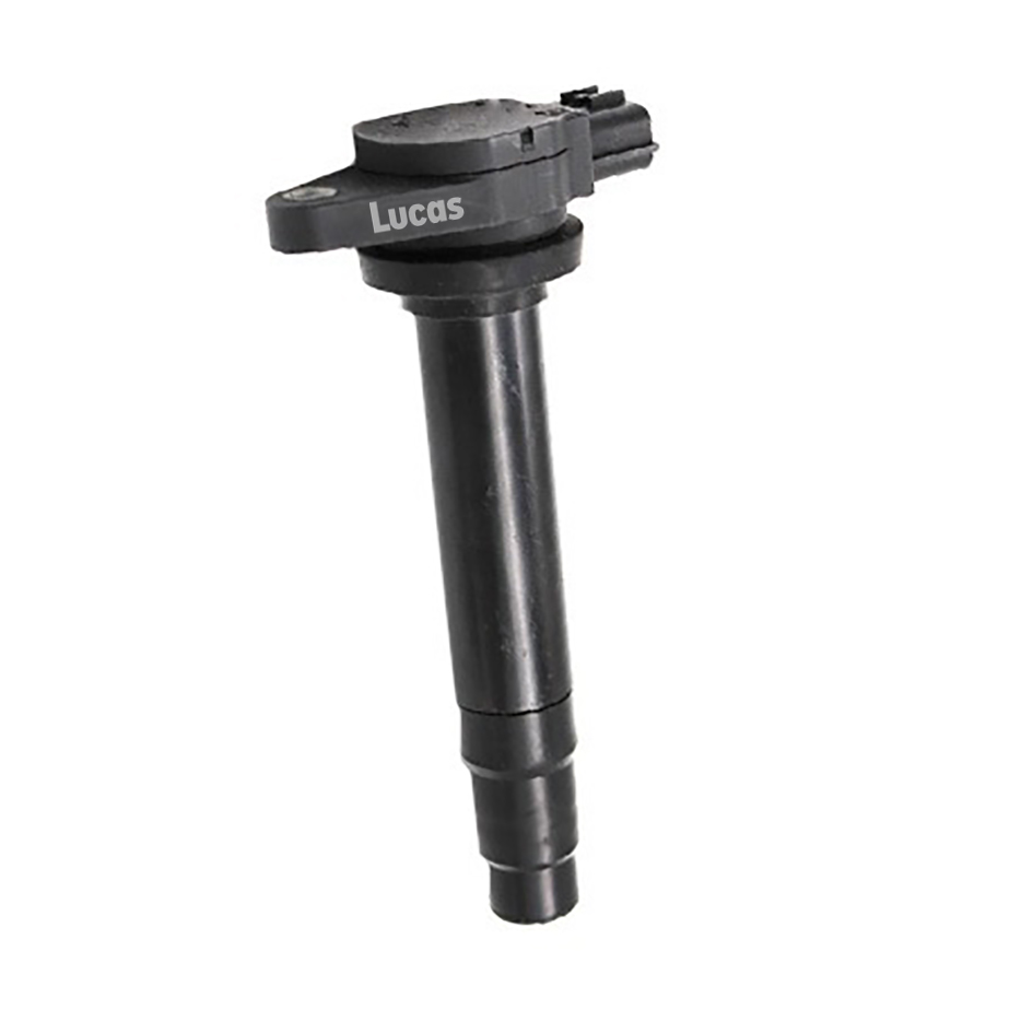 Lucas LEIG241
