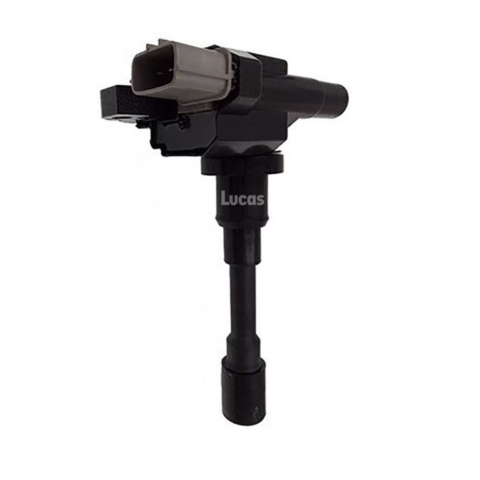 Lucas LEIG242