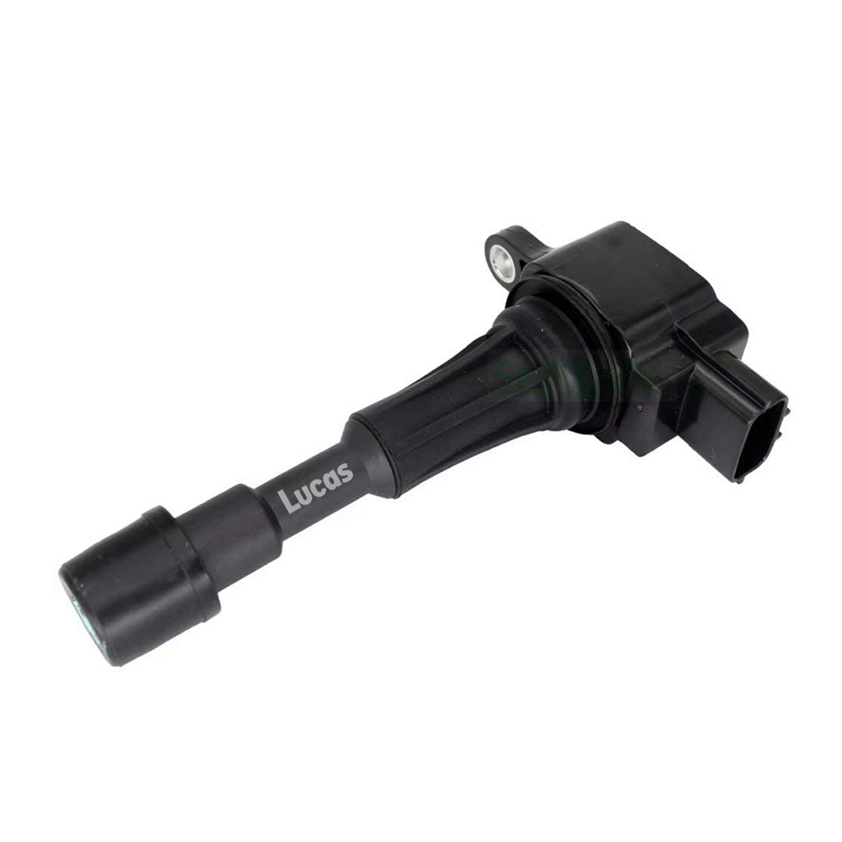 Lucas LEIG244