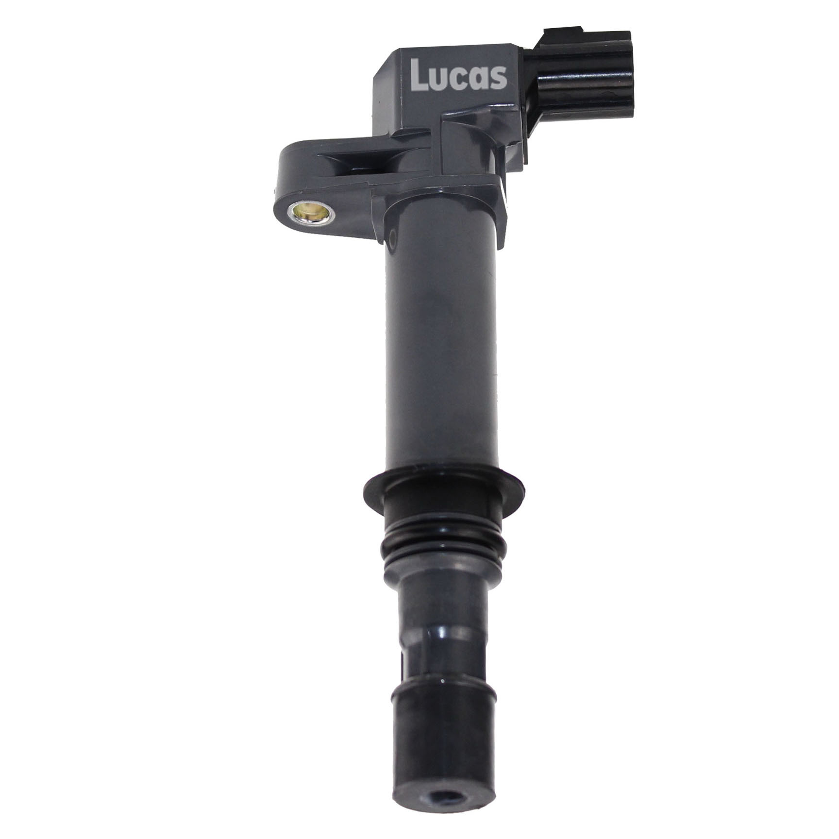 Lucas LEIG248