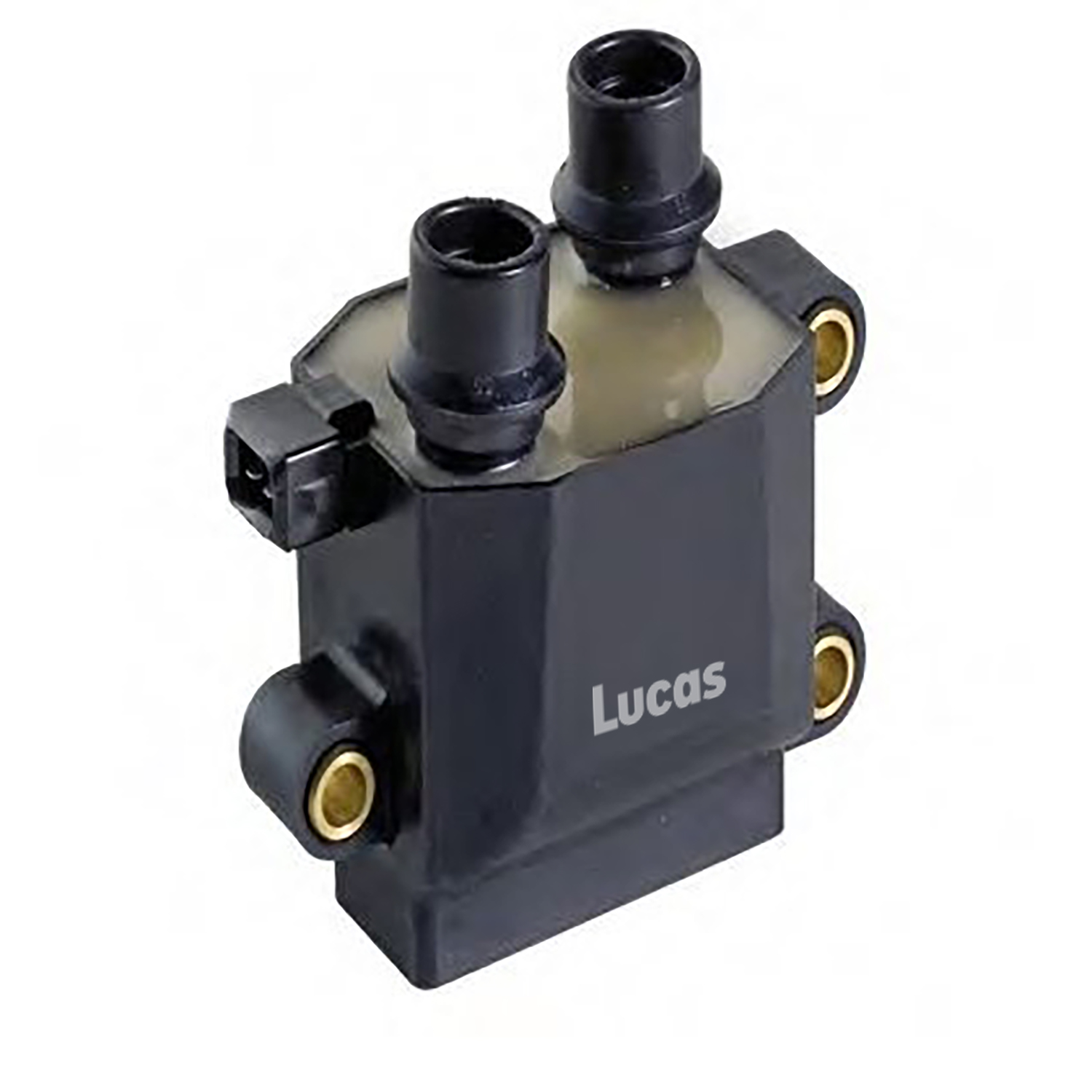 Lucas LEIG256