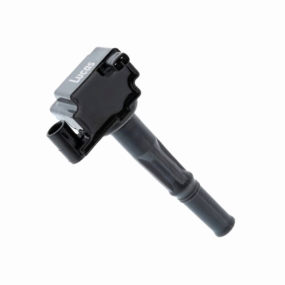 Lucas LEIG303