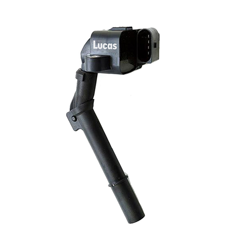 Lucas LEIG306