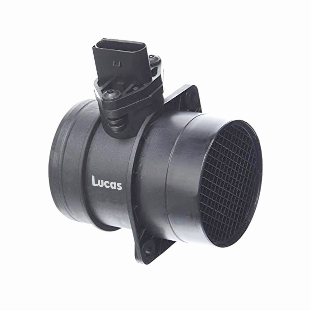 Lucas  LEMSA025