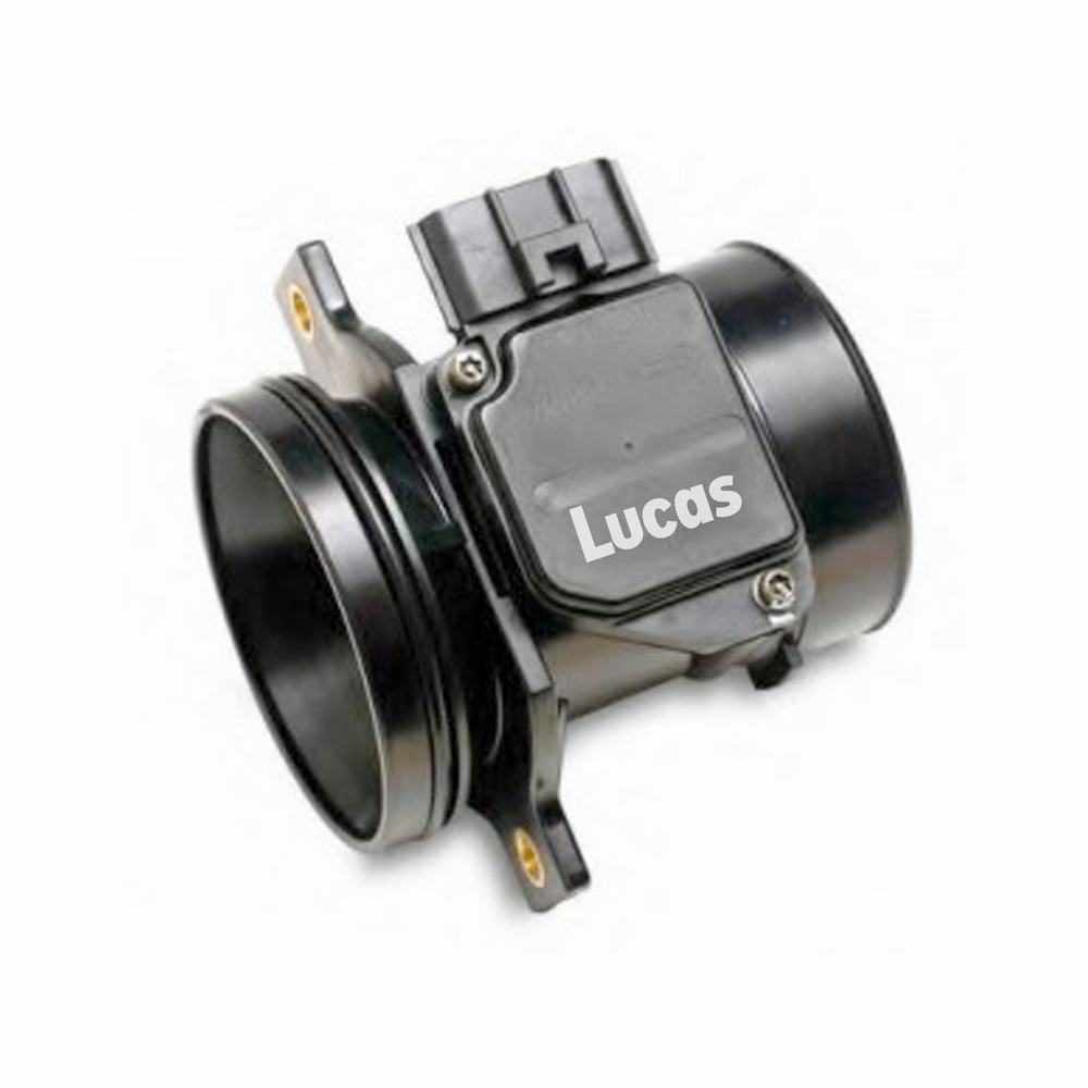 Lucas LEMSA054
