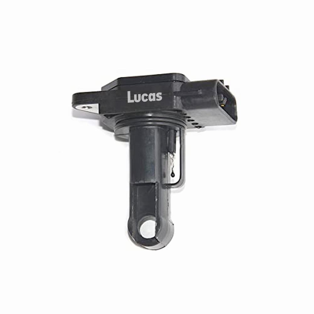 Lucas LEMSA058
