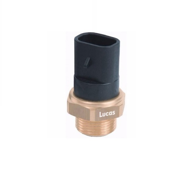 Lucas  LEMSE008