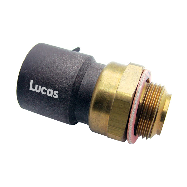 Lucas  LEMSE013