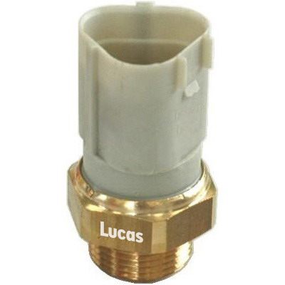 Lucas  LEMSE014