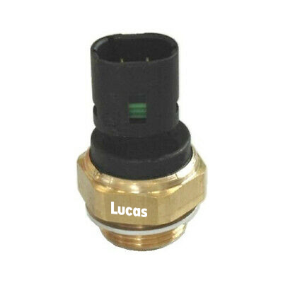 Lucas  LEMSE025