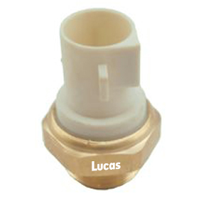Lucas  LEMSE026