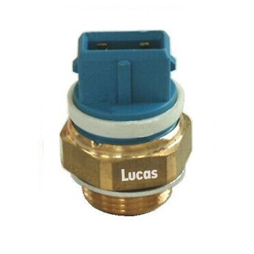 Lucas  LEMSE028
