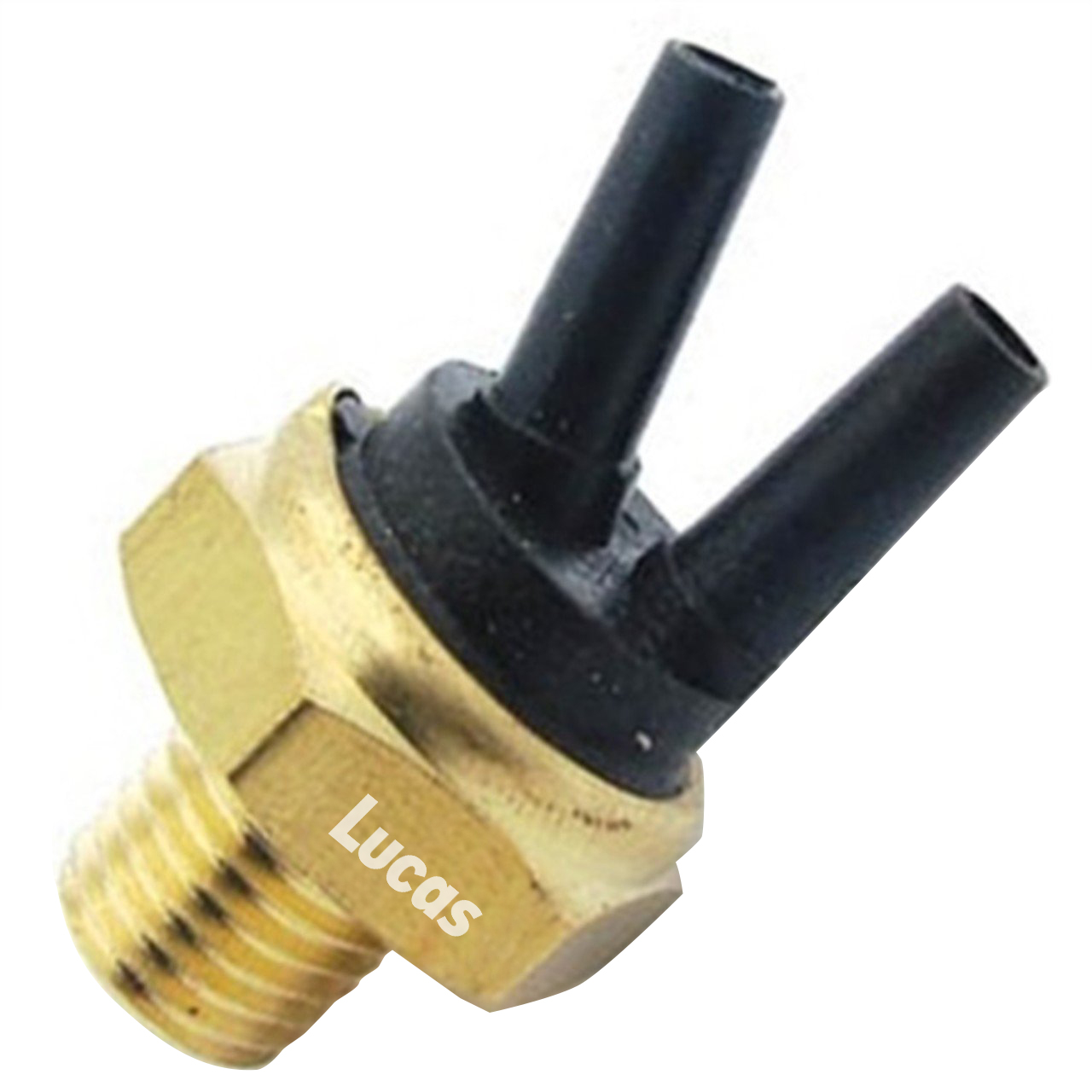 Lucas  LEMSE056