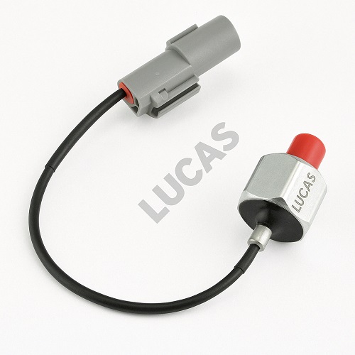Lucas LEMSK003