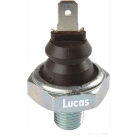 Lucas LEMSO009