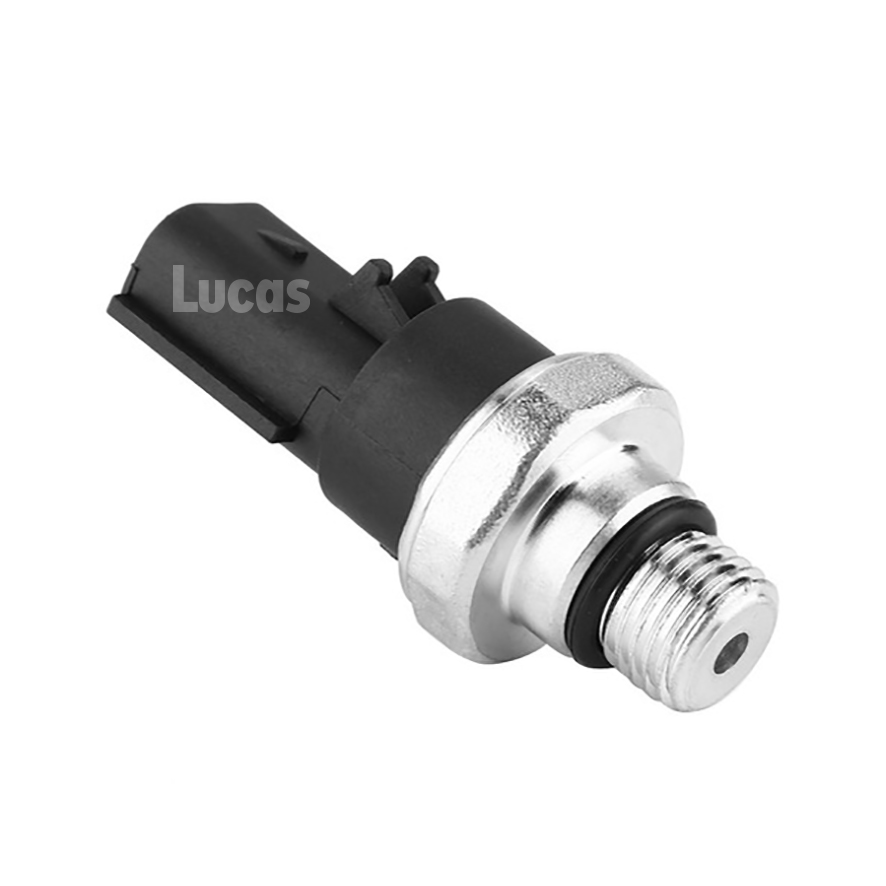 Lucas LEMSO051