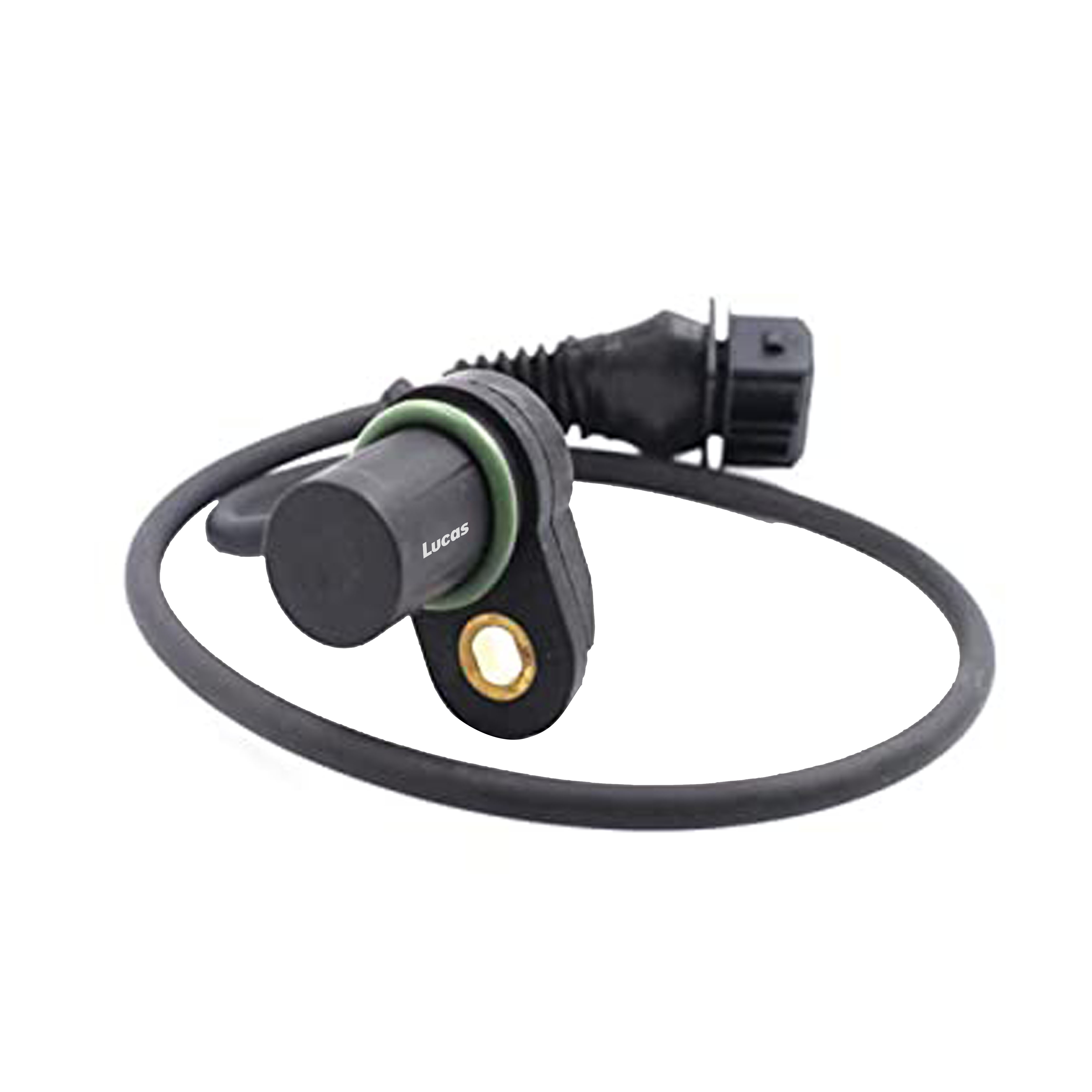 Lucas LEMSR129