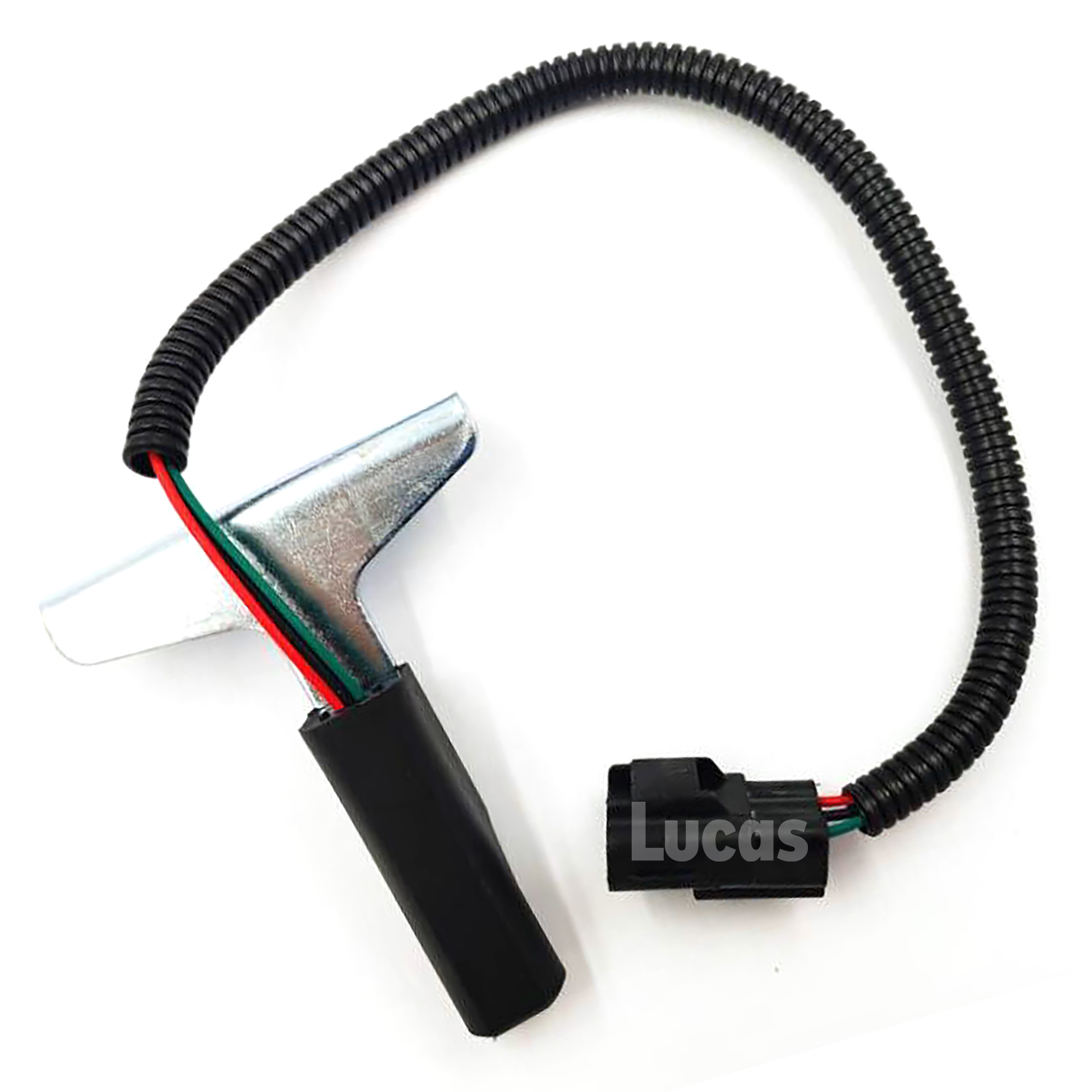 Lucas LEMSR212