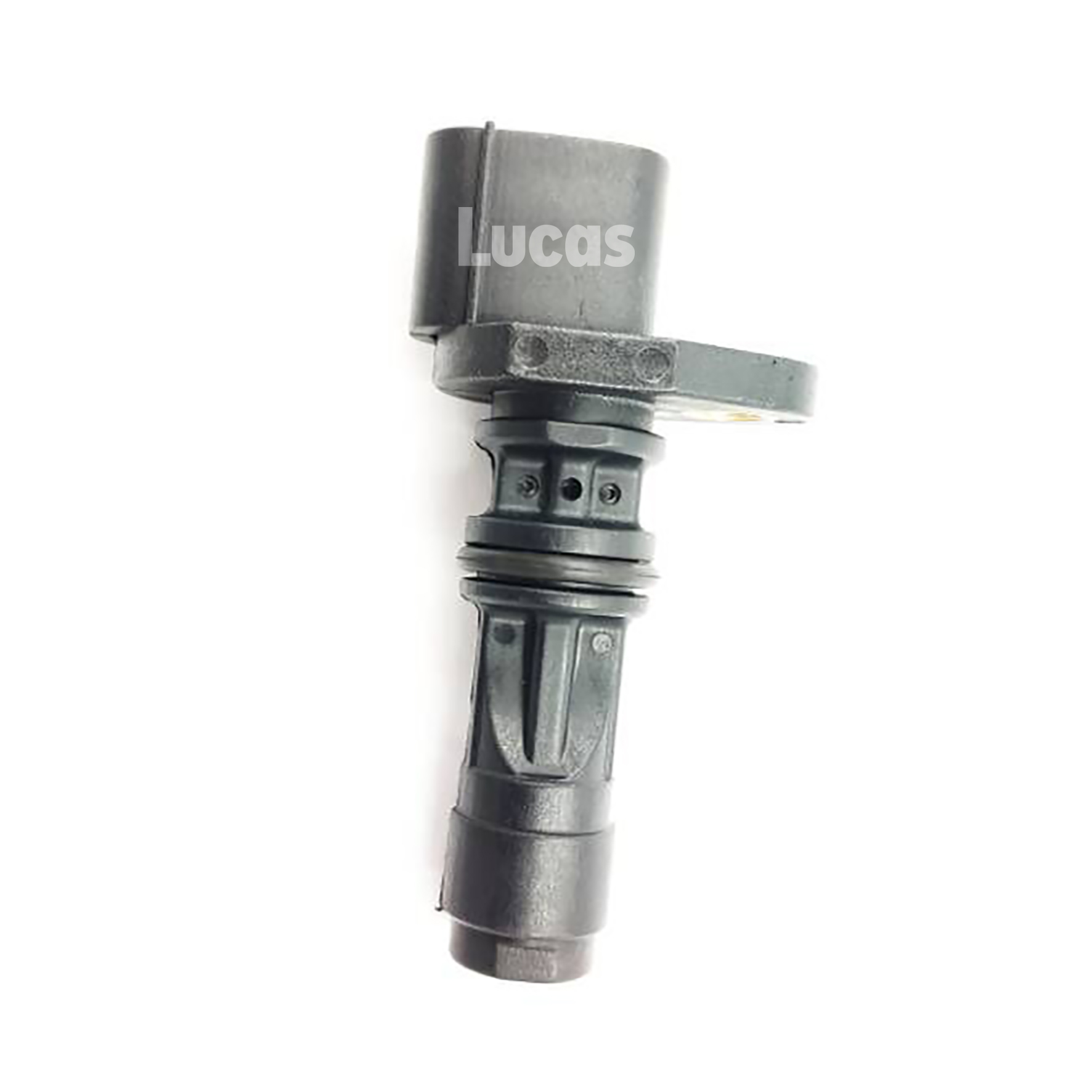 Lucas LEMSR216